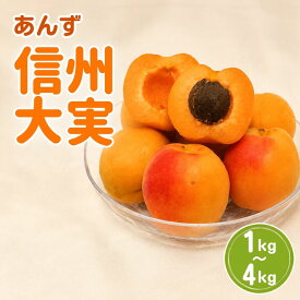【ふるさと納税】【2027年先行予約】あんず 信州大実(長野県オリジナル品種) 約1kg~約4kg | 杏子 アプリコット 千曲市産 長野県 信州