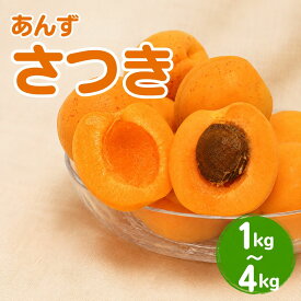 【ふるさと納税】【2027年先行予約】あんず さつき(長野県オリジナル品種) 約1~4kg | 杏子 アプリコット 長野県産 千曲市 信州