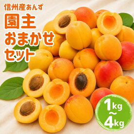 【ふるさと納税】【2027年先行予約】あんず 園主おまかせ セット 計約1kg~約4kg | 杏子 アプリコット 昭和 信州大実 さつき 幸福丸 平和 千曲市産 長野県 信州
