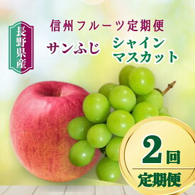【ふるさと納税】2回定期便：シャインマスカットとサンふじ 信州フルーツ定期便（ぶどう・りんご）| 果物 フルーツ リンゴ 林檎 サンフジ さんふじ 白ぶどう 葡萄 ブドウ 千曲市 長野県 信州