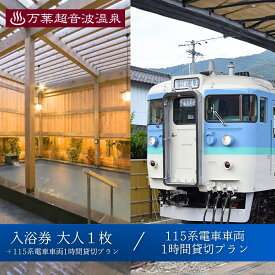 【ふるさと納税】115系電車車両1時間貸切プラン / 万葉超音波温泉 入浴券(大人1枚)＋115系電車車両1時間貸切プラン | 温泉 旅行 体験 温泉旅行 千曲市 長野県産 信州