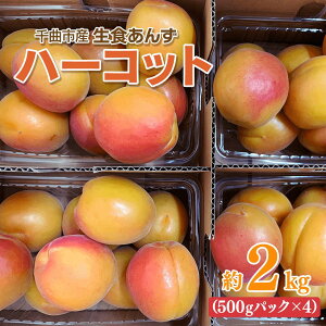 yӂ邳Ɣ[Łzy2026Ns\z n[Rbg Hp 2kg|ǎq AvRbg ʕ n[Rbg 2kg Yn Hp  MB  Ȏs 
