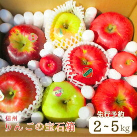 【ふるさと納税】りんご 詰合せ 約2~5kg(5~18玉)りんごの宝石箱 | 産地直送 シナノスイート シナノゴールド 秋映 あいかの香り 群馬名月 王林 紅玉 シナノホッペ サンふじ 千曲市 長野県