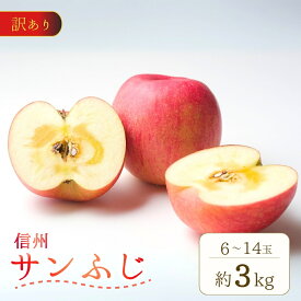 【ふるさと納税】訳あり りんご サンふじ 蜜入り 約3~10kg (6~40玉) | 林檎 リンゴ アップル 果物 くだもの フルーツ ふじ フジ さんふじ 富士 3kg 5kg 10kg わけあり 訳アリ 人気 おすすめ お取り寄せ 産地直送 長野県産 信州林檎 信州りんご 信州 長野 千曲市 送料無料