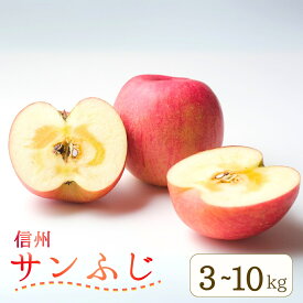 【ふるさと納税】りんご サンふじ 約3kg~10kg (6~36玉)|林檎 蜜入り 果物 フルーツ サン ふじ 富士 3kg 5kg 10kg 信州林檎 信州りんご 信州 長野 千曲市 送料無料