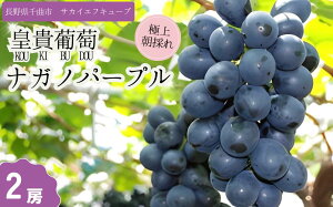 yӂ邳Ɣ[Łzy2026Ns\zԂǂ iKmp[v Gi nEX͔| 1[ 2[b  Ԃǂ t[c ʕ Ȏs 쌧Y MB