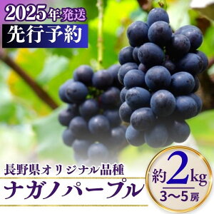 yӂ邳Ɣ[Łzy2026Ns\ziKmp[v 1kgi2~3[j/ 2kgi4~6[jb ʕ t[c Ԃǂ  uhE 햳 Ȃ 炲 Ȏs 쌧 MB