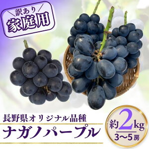 yӂ邳Ɣ[Łzy2026Ns\z󂠂 iKmp[v ƒp 2kgi4~6[jŒ1.8kgȏ b ʕ t[c Ԃǂ  uhE 햳 Ȃ 炲 Ȏs 쌧 MB