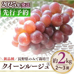 yӂ邳Ɣ[Łz NC[[WR 1~2kg ( 2~5[ )b ʕ t[c ԂԂǂ  uhE 햳 Ȃ 炲 Ȏs 쌧 MB