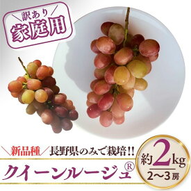 【ふるさと納税】【2026年先行予約】訳あり クイーンルージュ® 約2kg（4~6房）※最低1.8kg以上｜ 果物 フルーツ 赤ぶどう 葡萄 ブドウ 種無し 種なし 皮ごと 千曲市 長野県 信州