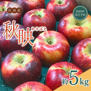 yӂ邳Ɣ[Łzžb݂Ղ!  Hf 2~5kg|ь  ʕ t[c ΂ Hf 2kg 3kg 5kg MBь MB MB  Ȏs 