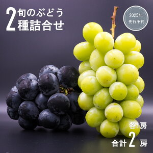 yӂ邳Ɣ[ŁzԂǂ 2l(VC}XJbg1[ƃsI[liKmp[v1[ v2[)| O[v ʕ t[c 2[ MBԂǂ MB Yn 햳 炲ƐHׂ 