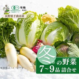 【ふるさと納税】【有機JAS認証】信州ありさんファーム 旬の野菜 7~9品 冬版 | 信州 長野 千曲市 送料無料