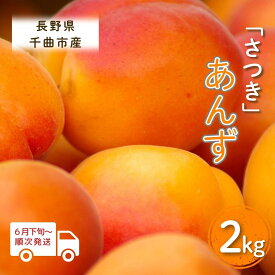 【ふるさと納税】【2026年先行予約】あんず さつき 2kg|杏子 アプリコット 果物 さつき 五月 2kg 産地直送 加工用 信州 長野 千曲市 送料無料