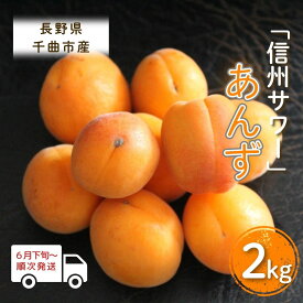 【ふるさと納税】【2026年先行予約】あんず 信州サワー 2kg|杏子 アプリコット 果物 信州サワー 2kg 産地直送 加工用 おまかせ 信州 長野 千曲市 送料無料