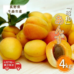 【ふるさと納税】【2026年先行予約】あんず 昭和(長野県オリジナル品種) 約4kg 杏子 アプリコット 千曲市産 長野県 信州