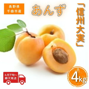 【ふるさと納税】【2026年先行予約】あんず 信州大実(長野県オリジナル品種) 約4kg 杏子 アプリコット 千曲市産 長野県 信州