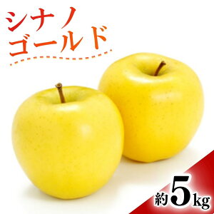 yӂ邳Ɣ[Łzy2025Ns\z VimS[h Iׂ 3kg / 5kg|ь  ʕ t[c VimS[h 3kg 5kg MBь MB MB  Ȏs 