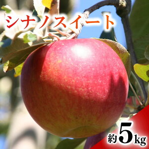 yӂ邳Ɣ[Łzy2025Ns\z VimXC[g Iׂ 3kg / 5kg|ь  ʕ t[c VimXC[g 3kg 5kg MBь MB MB  Ȏs 