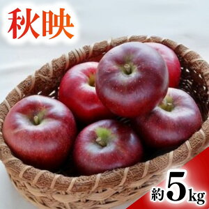 yӂ邳Ɣ[Łz Hf Iׂ 3kg / 5kg|ь  ʕ t[c ΂ Hf 3kg 5kg MBь MB MB  Ȏs 