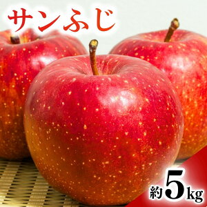 yӂ邳Ɣ[Łzy2025Ns\zTӂ  3kg / 5kg|ь  ʕ t[c T ӂ xm 3kg 5kg MBь MB MB  Ȏs 