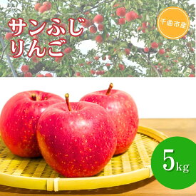 【ふるさと納税】サンふじ りんご 約3kg / 約5kg | 長野県産 リンゴ 林檎 アップル 蜜入り ふじ フジ さんふじ 富士 3kg 5kg 果物 くだもの フルーツ 産地直送 人気 おすすめ お取り寄せ 信州 長野 千曲市 送料無料