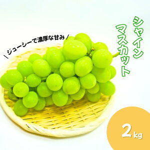 yӂ邳Ɣ[Łzy9{~\zԂǂ ̂IVC}XJbg 2kg | O[v ʕ t[c VC}XJbg 2kg MBԂǂ MB Yn 햳 炲ƐHׂ