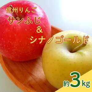 【ふるさと納税】【11月中旬頃~発送予定】りんご サンふじ シナノゴールド セット 約3kg | 信州 長野 千曲市 送料無料