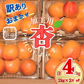 【ふるさと納税】【2026年先行予約】訳あり あんず おまかせ加工用 計約4kg(約2kg×2パック) | 杏子 アプリコット 信州 長野県 千曲市