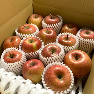 yӂ邳Ɣ[Łz  󂠂 Tӂ 10kg | ь S Abv ʕ  t[c ӂ tW ӂ xm 10kg 10L 킯 A lC   Yn 