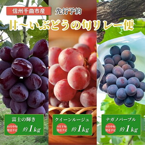 yӂ邳Ɣ[Łzy2026Ns\z炲ƐHׂ MB炿~Ԃǂ̏{[ցiiKmp[vANC[[WRAxm̋Pjbʕ t[c Ԃǂ ԂԂǂ  uh