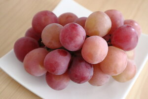 yӂ邳Ɣ[Łzy2026Ns\zNC[[WR E 700g ~ 2kgbʕ t[c ԂԂǂ  uhE 햳 Ȃ 炲 Ȏs 쌧 MB