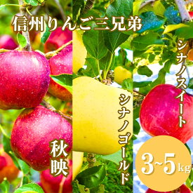 【ふるさと納税】【2026年先行予約】りんご3種詰め合わせ りんご三兄弟（秋映・シナノスイート・シナノゴールド）計約3kg/約5kg | 林檎 あきばえ 食べ比べ セット 千曲市 長野県産 信州