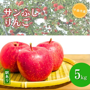 yӂ邳Ɣ[Łz󂠂  Tӂ 5kg ʕ t[c 쌧Y Ȏs MB