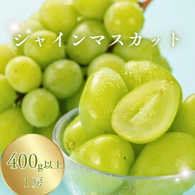 【ふるさと納税】【2026年先行予約】シャインマスカット 400g以上(1房) / 約1kg（2~3房）/ 約2kg（4~6房） | 葡萄 グレープ 果物 フルーツ シャインマスカット 1kg 信州ぶどう 信州葡萄 産地直送 種無し 皮ごと食べれる 白ぶどう マスカット 信州 長野 千曲市