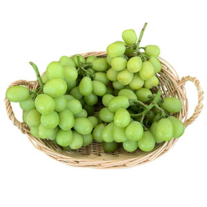 yӂ邳Ɣ[Łzy2025Ns\z󂠂 VC}XJbg ƒp 2kg(3~5[)| O[v ʕ t[c VC}XJbg 1kg MBԂǂ MB Yn 햳 炲ƐHׂ