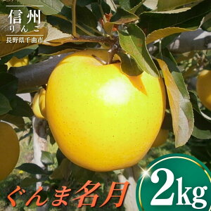 yӂ邳Ɣ[Łz ܖ2kg  ь S MB 쌧 Ȏs