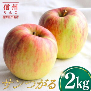 �y�ӂ邳�Ɣ[�Łz�y2026�N��s�\��z��� �T������2kg | ��� �ь� �����S �M�B��� ���쌧 ��Ȏs