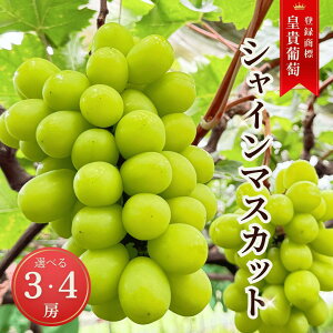 yӂ邳Ɣ[Łzy2026Ns\zVC}XJbg In͔| Gi(嗱) 3~4[(1.2~1.6kg)b Ԃǂ  Ԃǂ 햳 Ȃ 炲 Ȏs 쌧Y MB