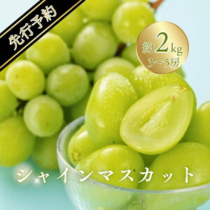 yӂ邳Ɣ[ŁzVC}XJbg 1kg ( 2~3[ )/2kg ( 3~5[ )| O[v ʕ t[c VC}XJbg 1kg 2kg MBԂǂ MB Yn 햳 炲ƐHׂ Ԃǂ }