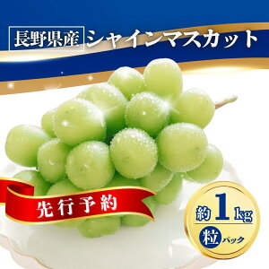 yӂ邳Ɣ[ŁzԂǂ VC}XJbgpbN 1kg| O[v ʕ t[c VC}XJbg 1kg MBԂǂ MB Yn 햳 炲ƐHׂ Ԃǂ }XJbg 