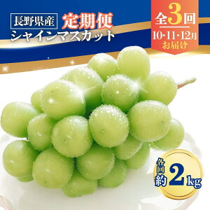 yӂ邳Ɣ[Łzy2025Ns\zy3zVC}XJbg 2kg×3 (2025N10/11/12)| O[v ʕ t[c VC}XJbg 2kg MBԂǂ MB Yn 