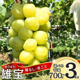【ふるさと納税】【2026年先行予約】ぶどう 雄宝(ゆうほう) 約700g~約3kg (1~4房)｜ 果物 フルーツ ぶどう 葡萄 ブドウ 種無し 種なし 皮ごと 千曲市 長野県 信州