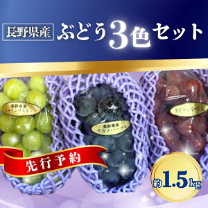 yӂ邳Ɣ[Łzy2026Ns\zԂǂ 3FZbg(VC}XJbg/iKmp[v/NC[[WR) 1.5kgb ʕ t[c Ԃǂ Ԃǂ ԂԂǂ  uhE 햳 