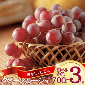 【ふるさと納税】【2026年先行予約】ぶどう クイーンルージュ® 約700g~約3kg 長野県オリジナル品種｜ 果物 フルーツ 赤ぶどう 葡萄 ブドウ 種無し 種なし 皮ごと 千曲市 長野県 信州
