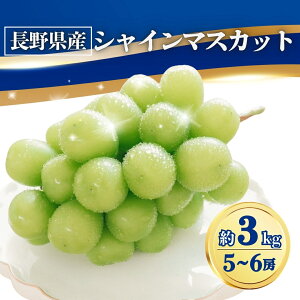 yӂ邳Ɣ[Łzy2025Ns\zԂǂ VC}XJbg 1kg(2~3[)/1.5kg(3[)/2kg(4~5[)/3kg5~6[)| O[v ʕ t[c VC}XJbg Yn 햳 炲ƐHׂ 
