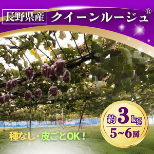 yӂ邳Ɣ[ŁzԂǂ NC[[WR700g(1[)/1kg(2[)/1.5kg(3[)/2kg(4[~5[)/3kg(5[~6[)| ʕ t[c Yn 햳 炲 VC}XJbgƃjR[a 