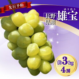 【ふるさと納税】【2026年先行予約】ぶどう 雄宝(ゆうほう) 約700g~約3kg (1~4房)｜ 果物 フルーツ ぶどう 葡萄 ブドウ 種無し 種なし 皮ごと 千曲市 長野県 信州