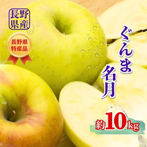 yӂ邳Ɣ[Łzy2025Ns\z ܖ 3kg/5kg/10kg|ь  ʕ t[c T ܂߂ Qn 3kg 5kg 10kg MBь MB MB  Ȏs 