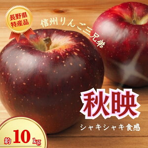 yӂ邳Ɣ[Łz Hf 3kg/5kg/10kg 񂲎OZ j|ь  ʕ t[c ΂ Hf 3kg 5kg 10kg MBь MB MB  Ȏs 